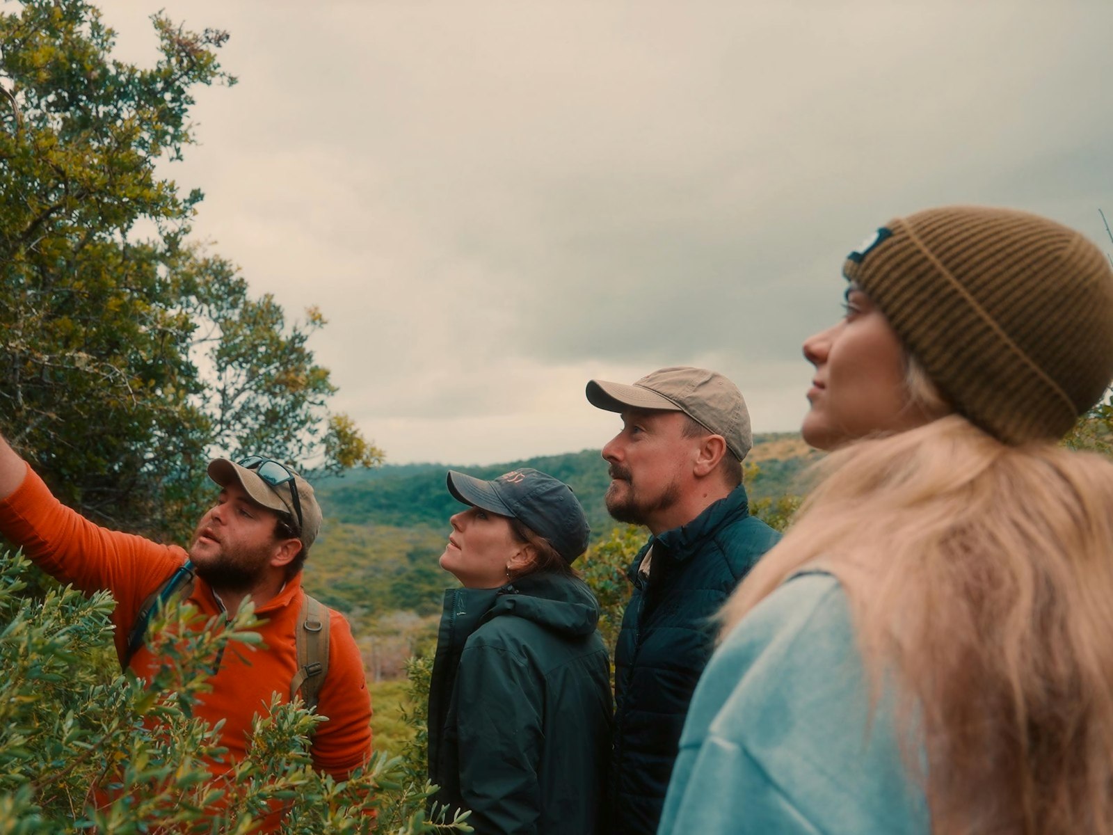 A guide in an orange sweater pointing out a plant in the coastal forest to three guests on a guided bush walk
